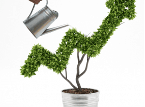 TRANSIZIONE ENERGETICA DELLE IMPRESE: L’IMPORTANZA DI ESSERE GREEN