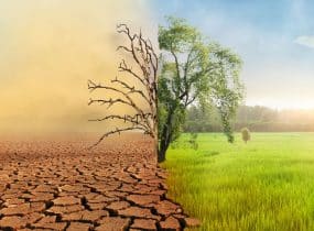 IL CAMBIAMENTO CLIMATICO: PRINCIPALI CAUSE E POSSIBILI SOLUZIONI