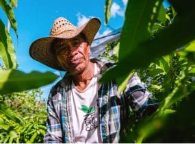 RIFORESTAZIONE AD ALTO IMPATTO SOCIALE: LA NOSTRA FORESTA IN GUATEMALA