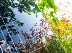 Care&Share di Energred: la rivoluzione sostenibile per l’impresa