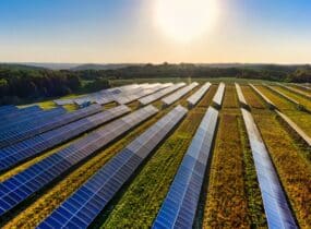 L’agro-fotovoltaico: come coniugare produzione agricola e rendita energetica