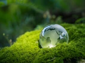 Supply Chain “Green”: perché i tuoi clienti inizieranno a chiederti l’impronta di carbonio